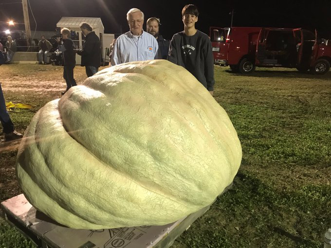 How To Grow A Giant Pumpkin The Old Farmers Almanac